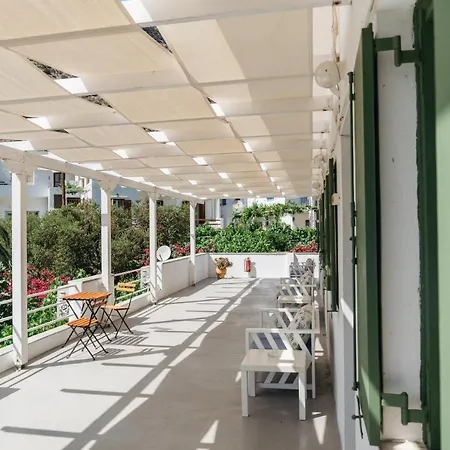 Oasis קאמארי