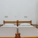όαση 3*