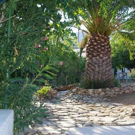 Guest house Oasis Kamares (Sifnos)